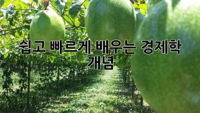 쉽고 빠르게 배우는 경제학 개념